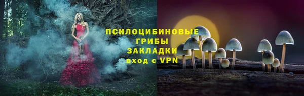 мяу мяу мука Арсеньев