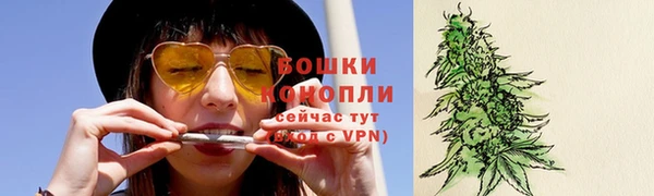 ПСИЛОЦИБИНОВЫЕ ГРИБЫ Аркадак