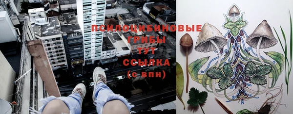 ПСИЛОЦИБИНОВЫЕ ГРИБЫ Аркадак