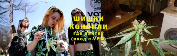 ПСИЛОЦИБИНОВЫЕ ГРИБЫ Аркадак