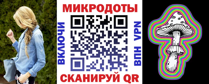 сколько стоит  Свирск  Галлюциногенные грибы Cubensis 